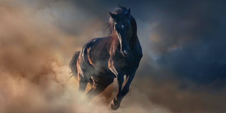 Nuage CEO: Successful SD-WAN Not a One-Trick Pony